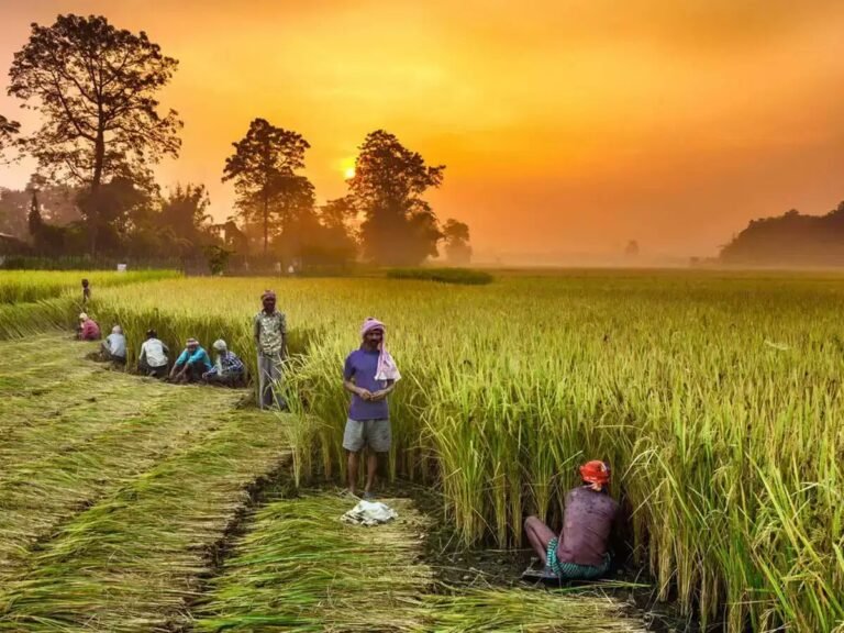 India’s Food Grain Output Hits a Historic High: 357 Million Tonnes | 95% Drop in Stubble Burning (ICAR Report)