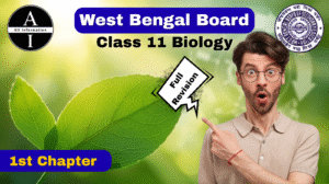 উচ্চ শ্রেণীর উদ্ভিদের সালোকসংশ্লেষ | WBCHSE Class 11 Biology 2nd Semester